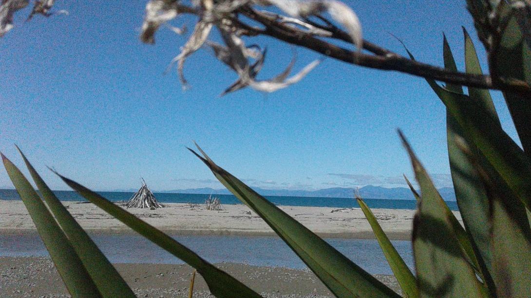 Beach in Motueka