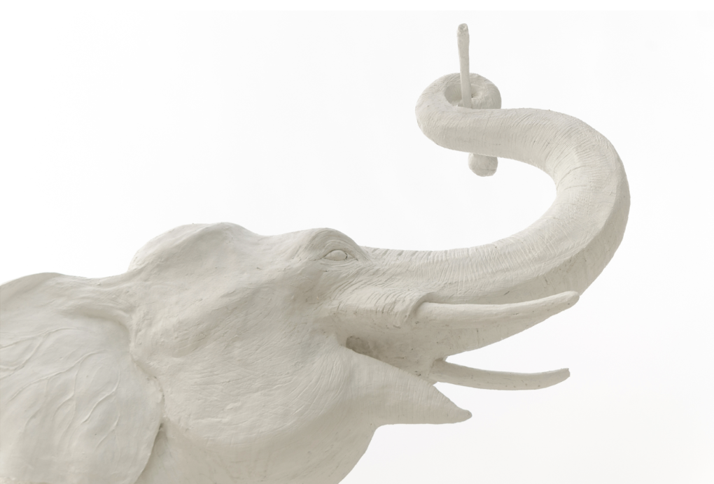 What is a white elephant project?