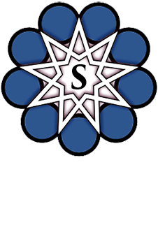 S logo