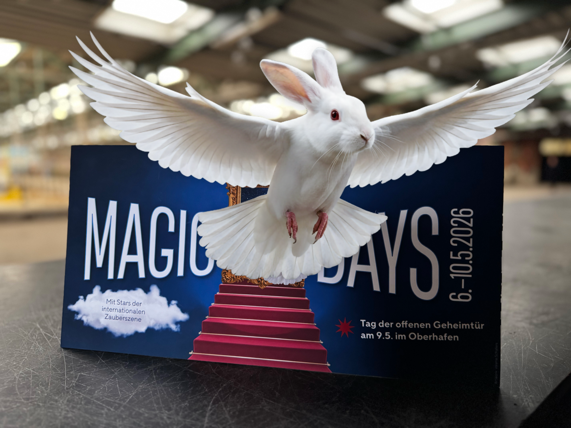 Teaser Tag der Offenen Geheimtür