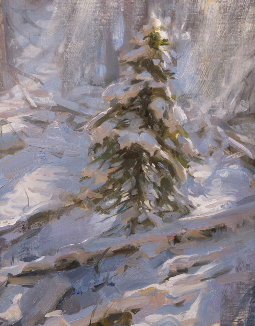 Alla Prima Snow Capped Forest Winter Tree Landscape Oil Painting by Jared Brady