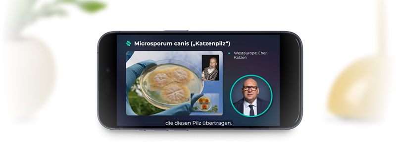 Handy zeigt eine CME Fortbildung auf der Doctorflix-Plattform über Microsorum canis (Katzenpilz)