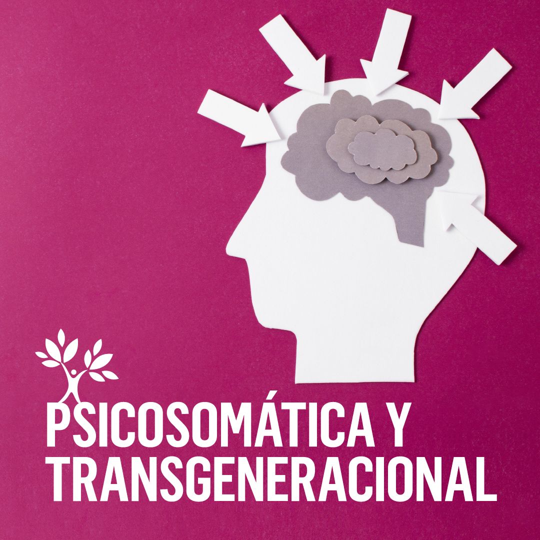 Curso Psicosomatica y Transgeneracional