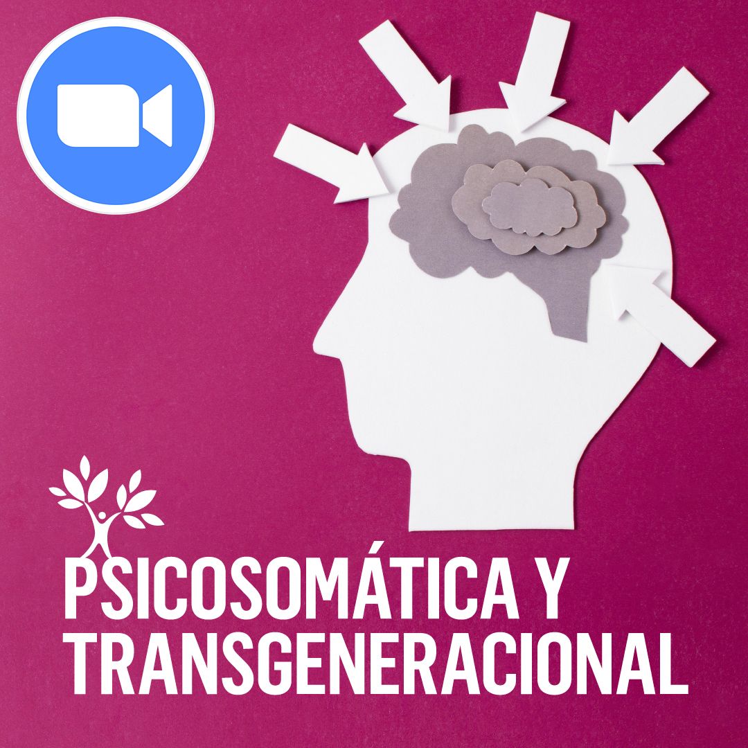 Curso Psicosomatica y Transgeneracional