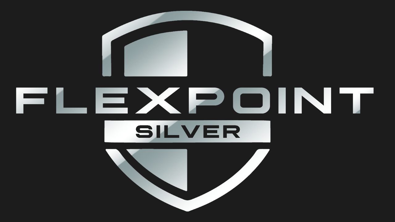 Flex Point Silver subscription logo