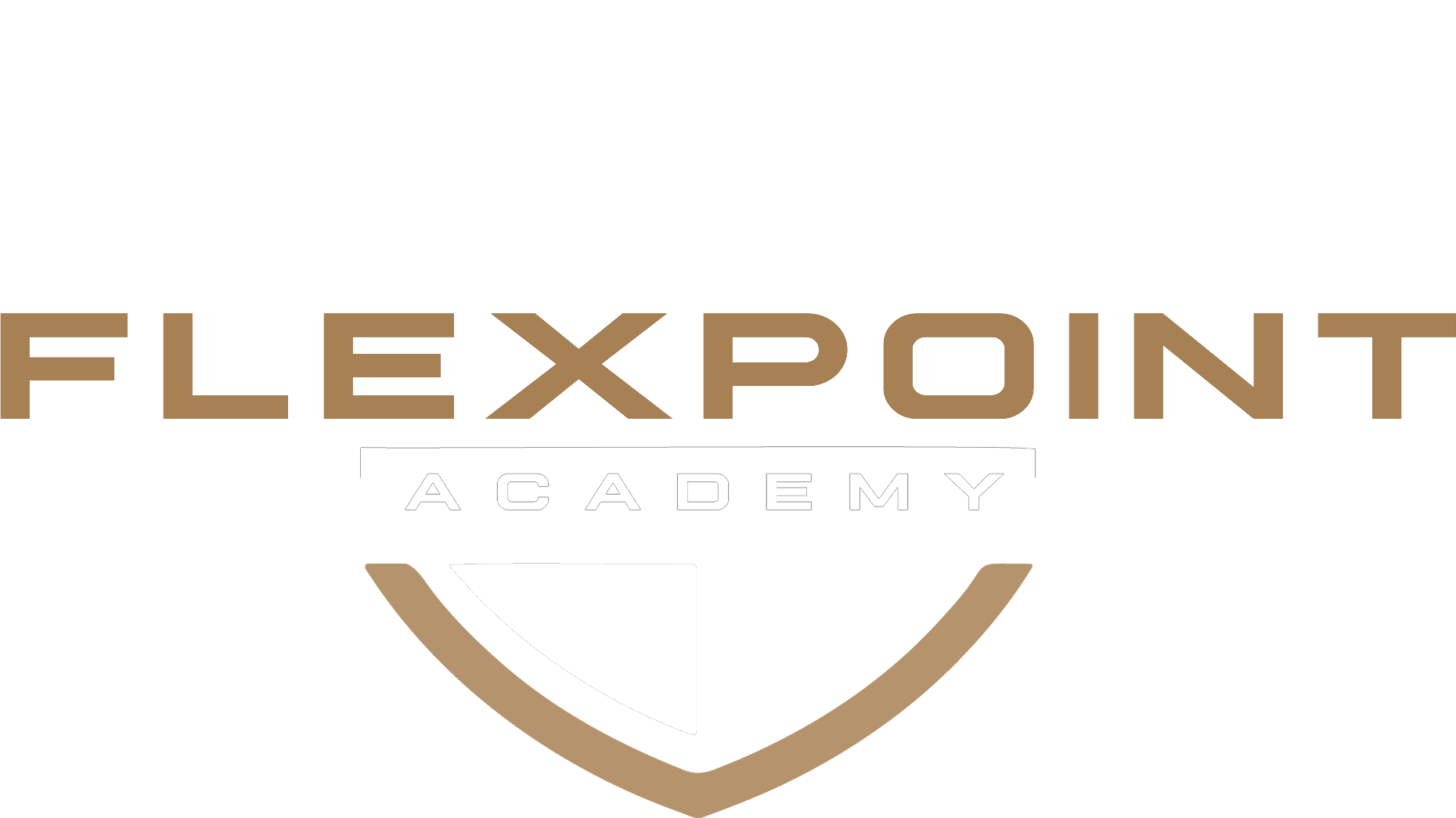 flex point academy logo