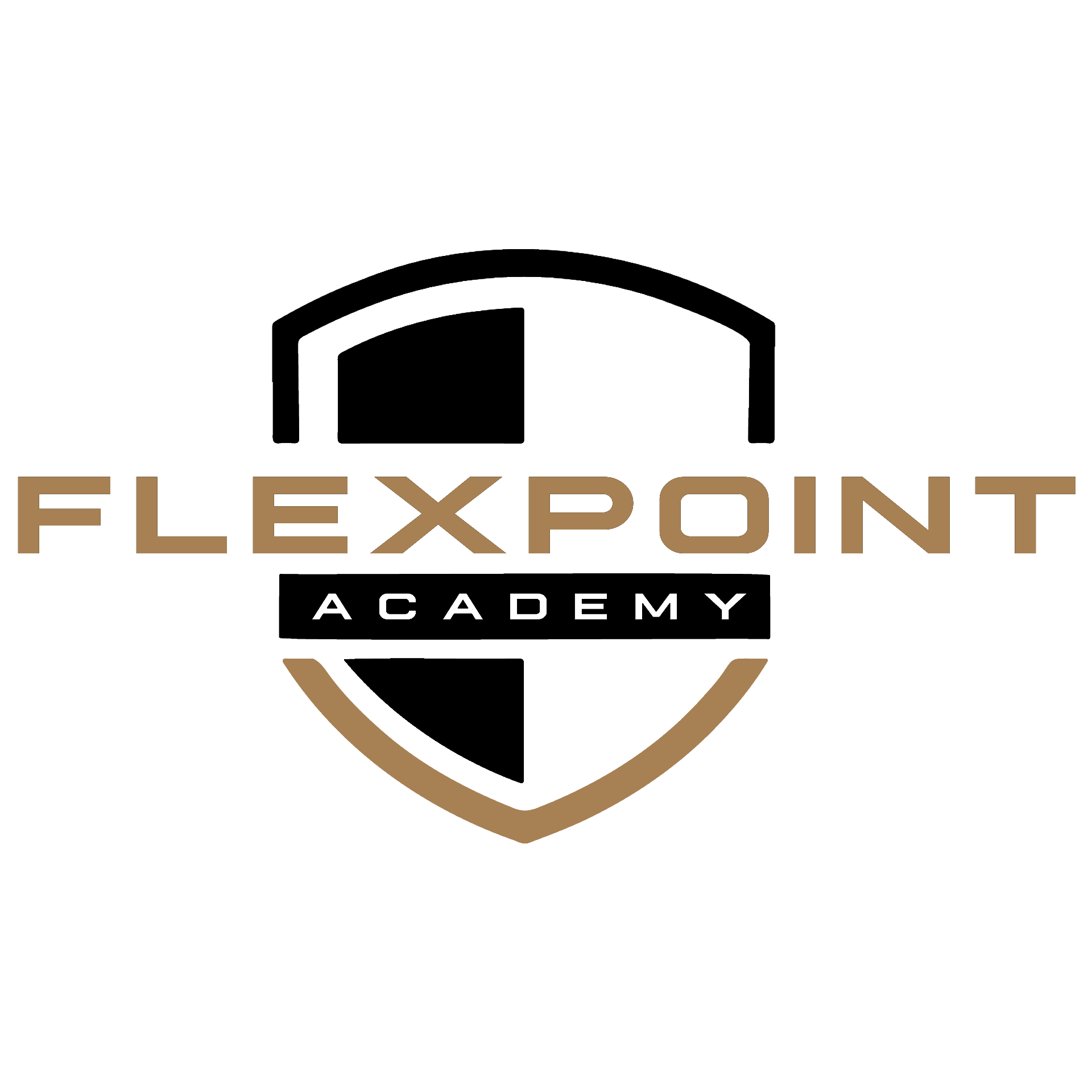 Flex Point Academy logo