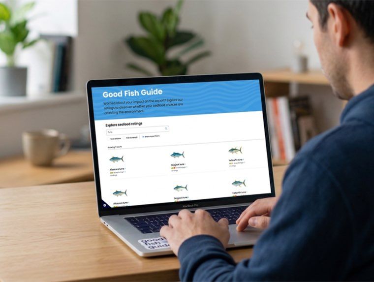 The Good Fish Guide website on a laptop