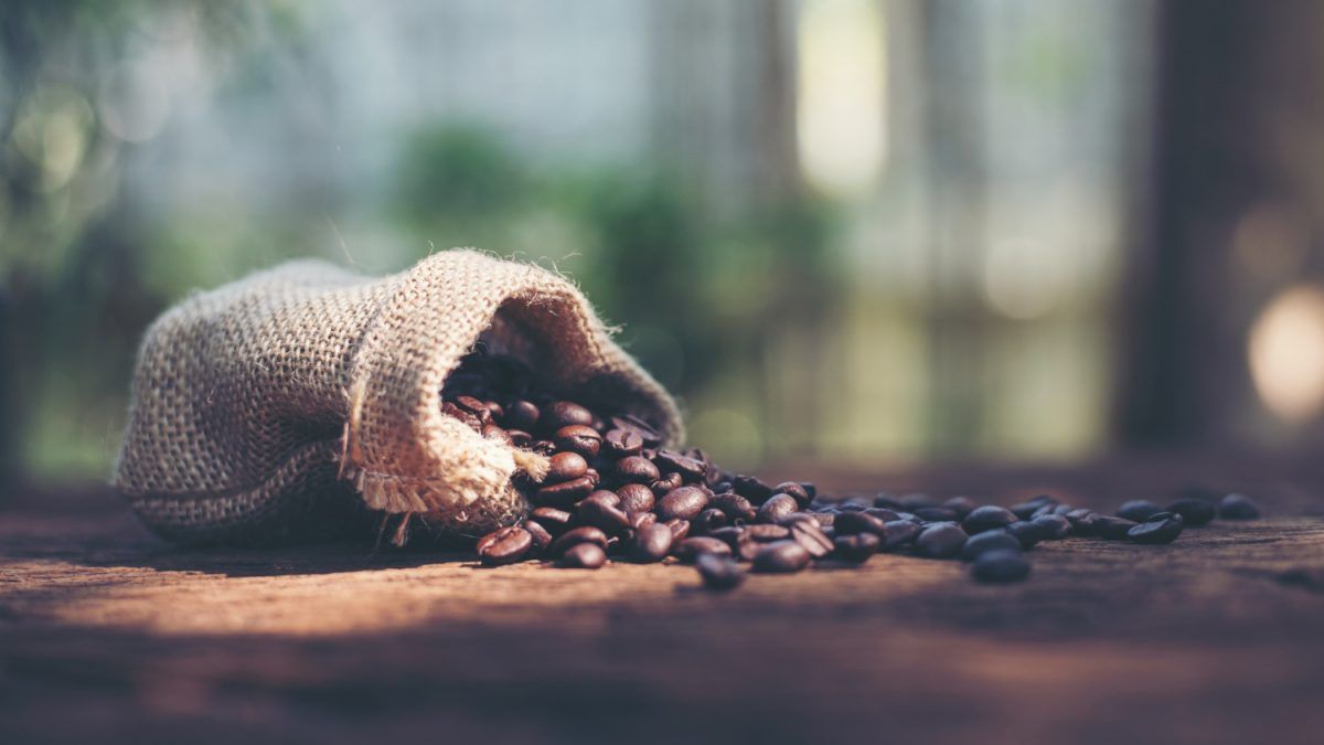 Sustainable Consumer Series Coffee break! Roasting coffee in a