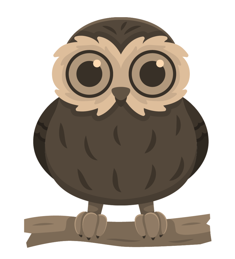 Elf Owl