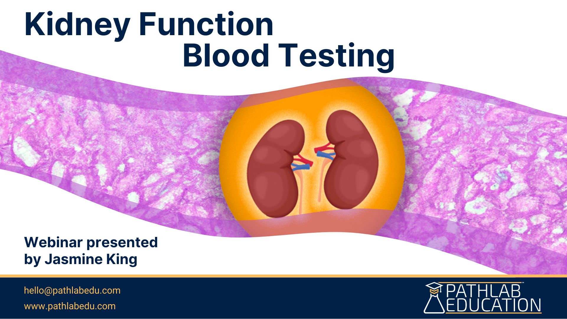 kidney-function-blood-testing-on-demand-webinar