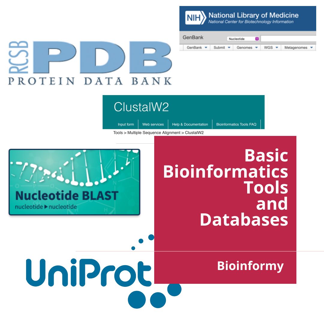 Basic Bioinformatics Tools and Databases Course