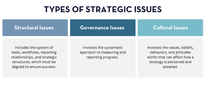 types of strategic issues