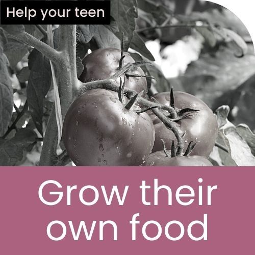 Grow their own food button