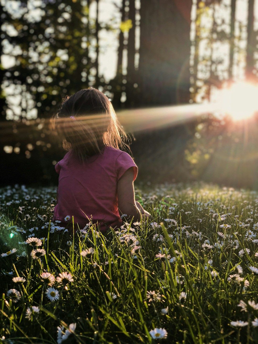 A child is shown from behind, sitting in a field with wild flowers in a meadow in the forest. The sun is shining through a few trees and the child is slightly tilting its head back. They are wearing a pink shirt and their hair is in a ponytail.