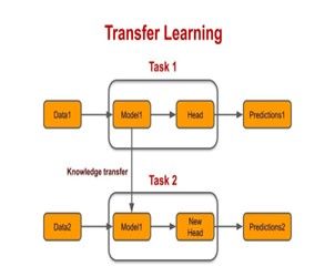 Transfer Learning and Pre-trained Models. img 1