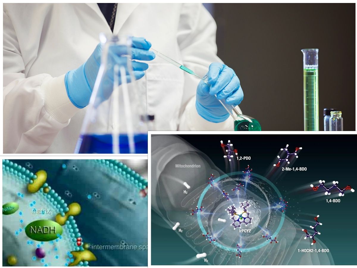 Biochemistry GIT 1