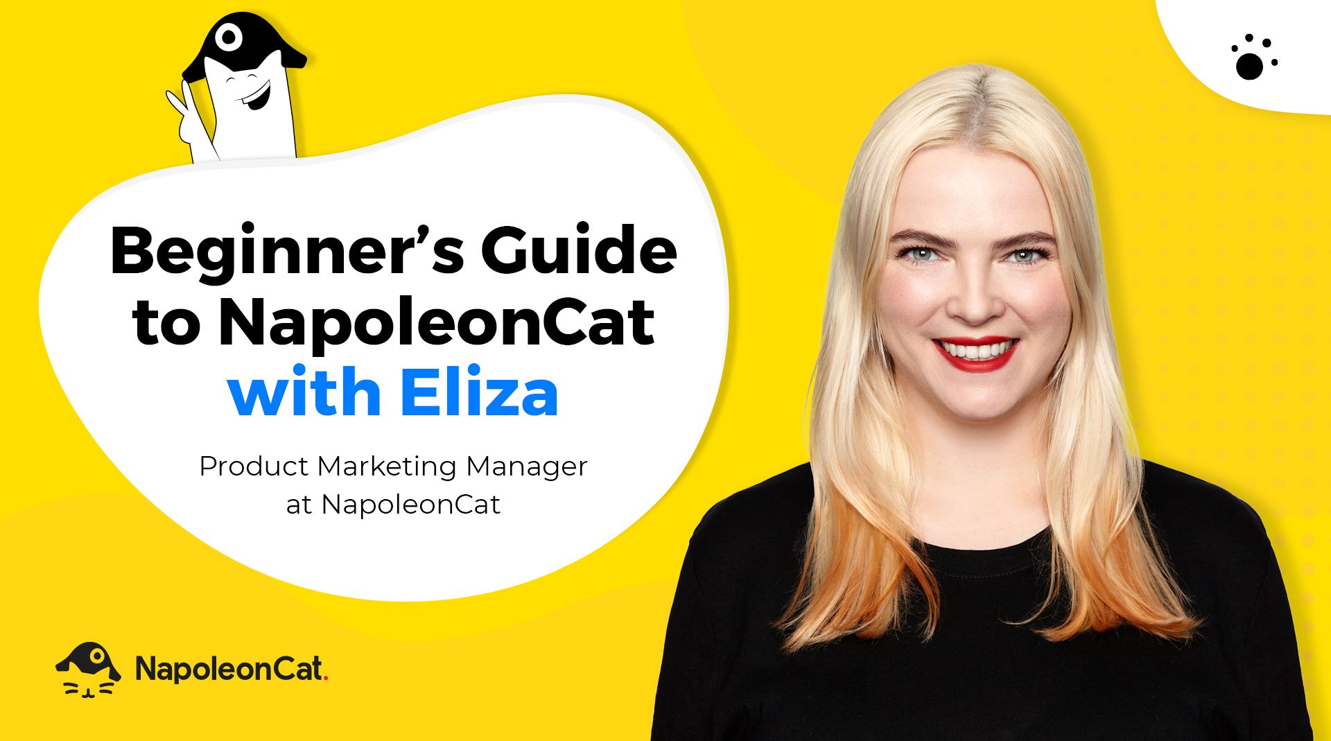 Full Demo Of NapoleonCat