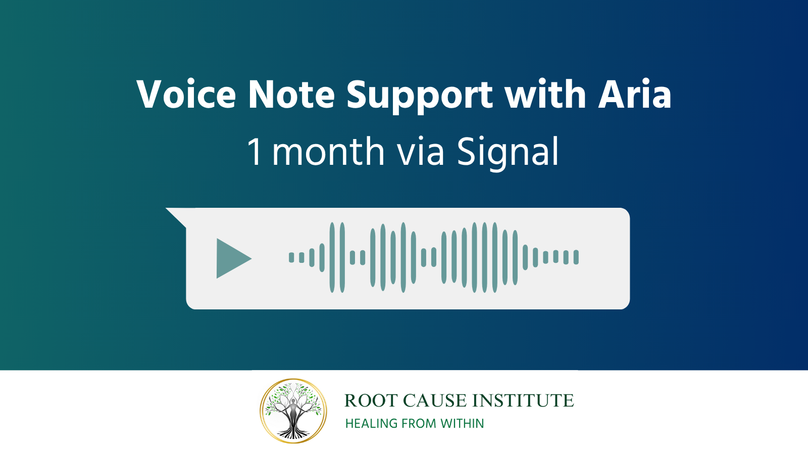 Signal Voice Notes with Aria