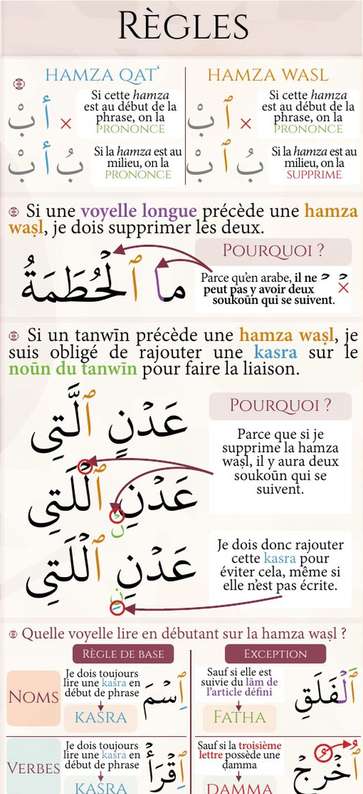 Fiche 1 : colonne Règles