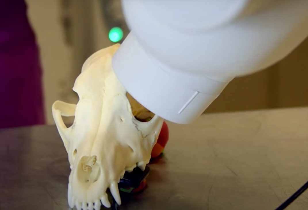 Dental Radiographs: How to Guide