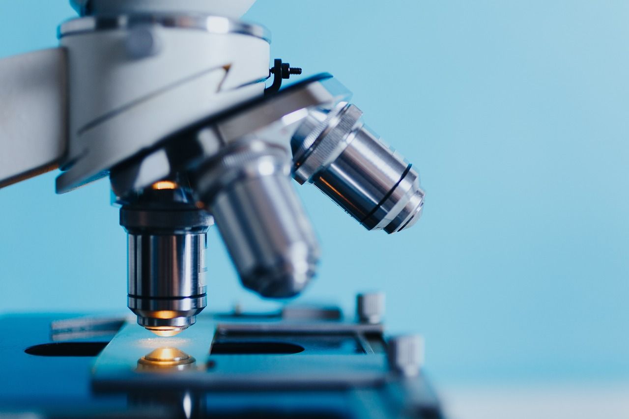 How to Use a Microscope - Veterinary Team Training