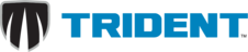tridentprotects.getlearnworlds.com