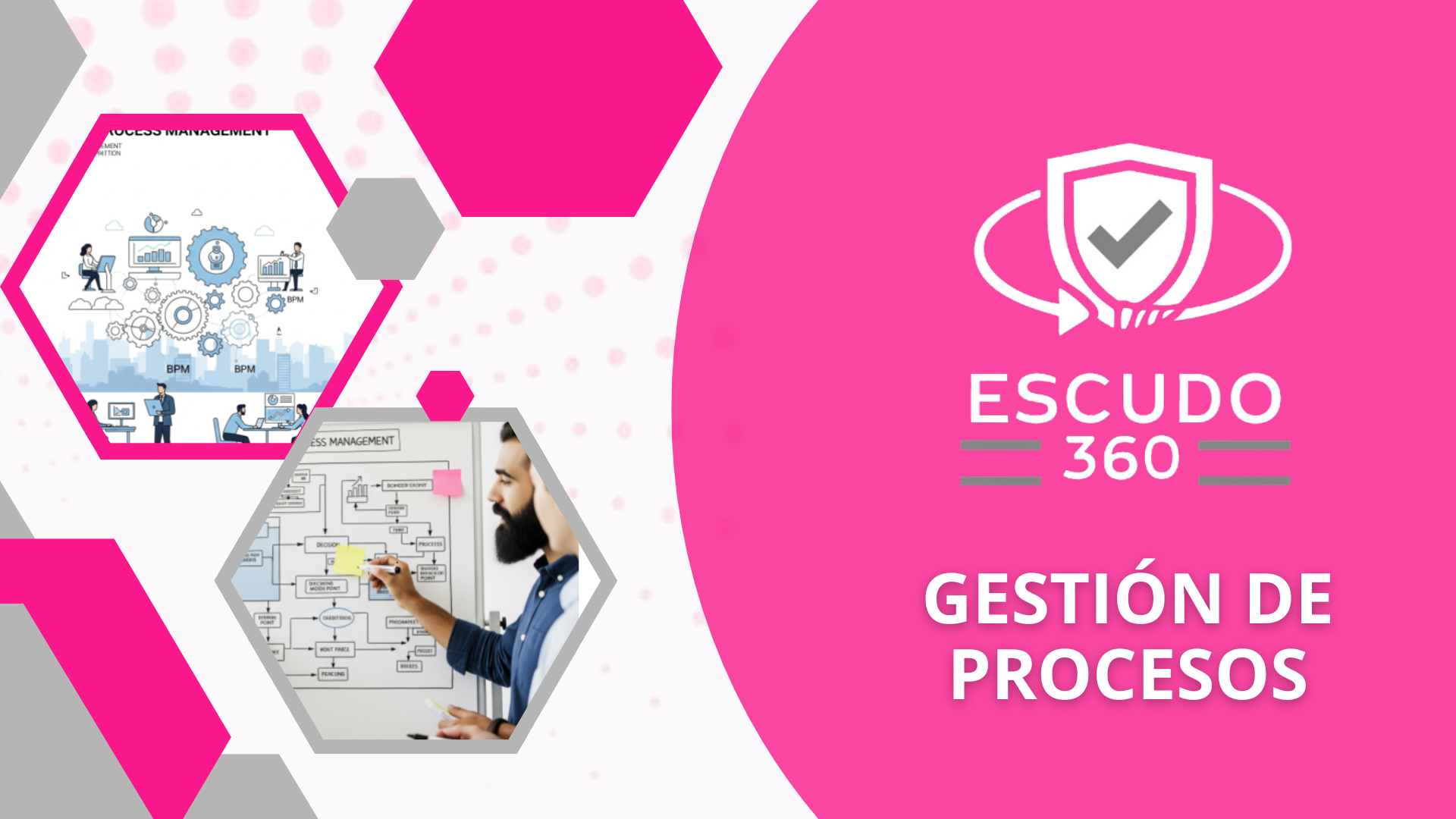 ESCUDO 360 Gestión de Procesos