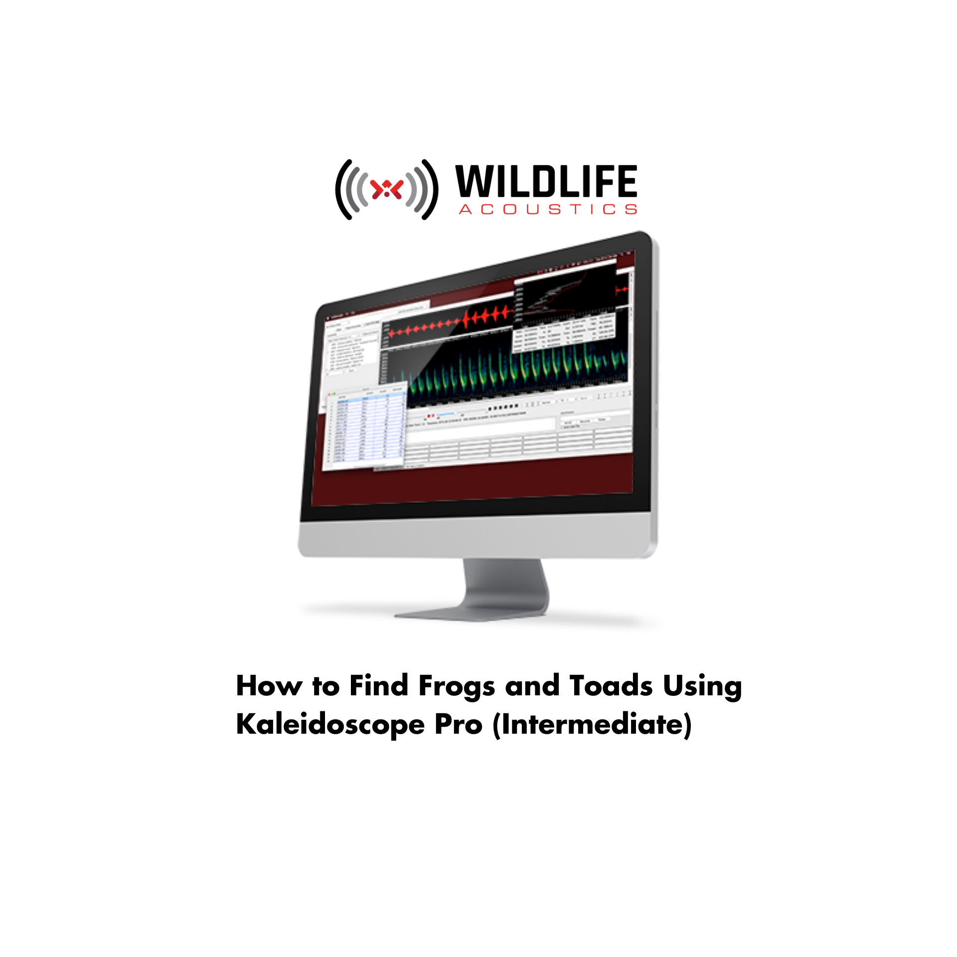 Feb 26: How to Find Frogs and Toads Using Kaleidoscope Pro (Intermediate)