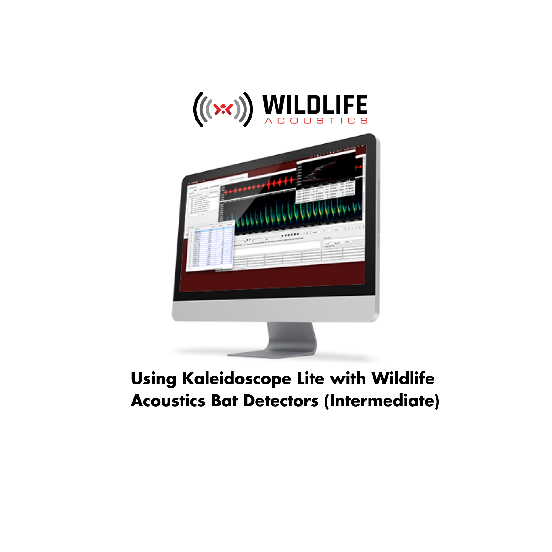 Feb 12: Using Kaleidoscope Lite with Wildlife Acoustics Bat Detectors ...