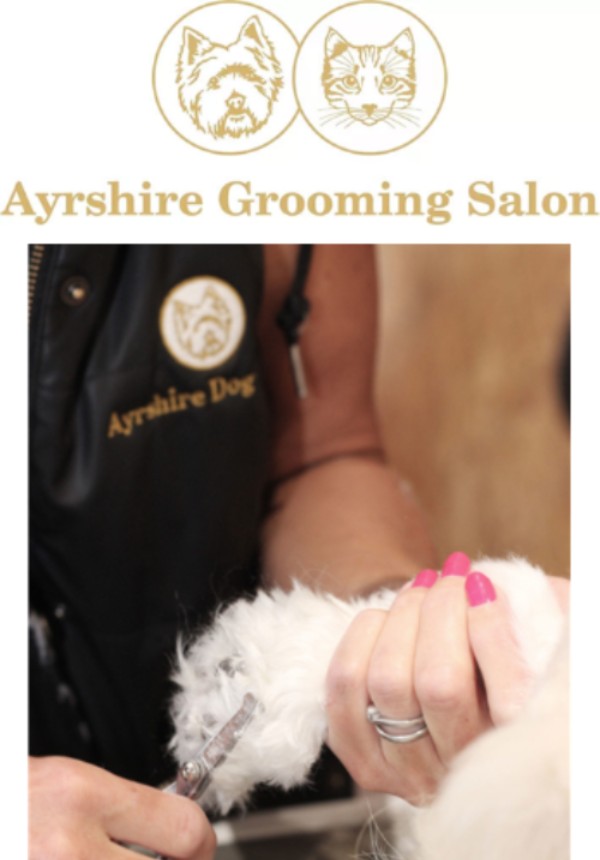 City & Guilds Dog Grooming Training Schools