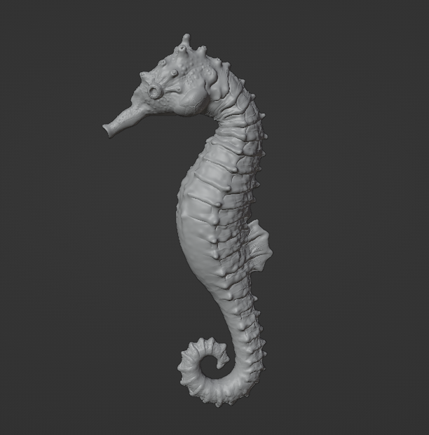 3D Modell Seepferdchen | Blender 3D Modeling lernen Kurs