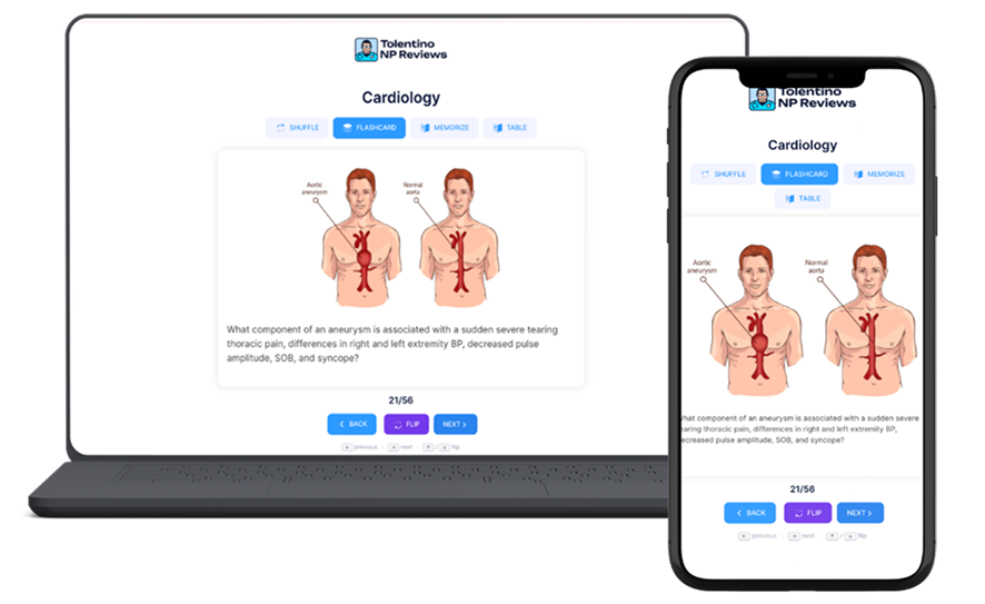 NP Digital Flashcards preview