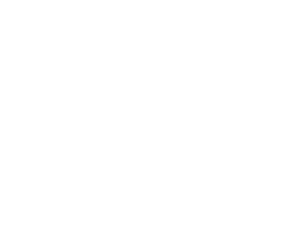 Logo BCR