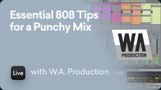 Essential 808 Tips for a Punchy Mix