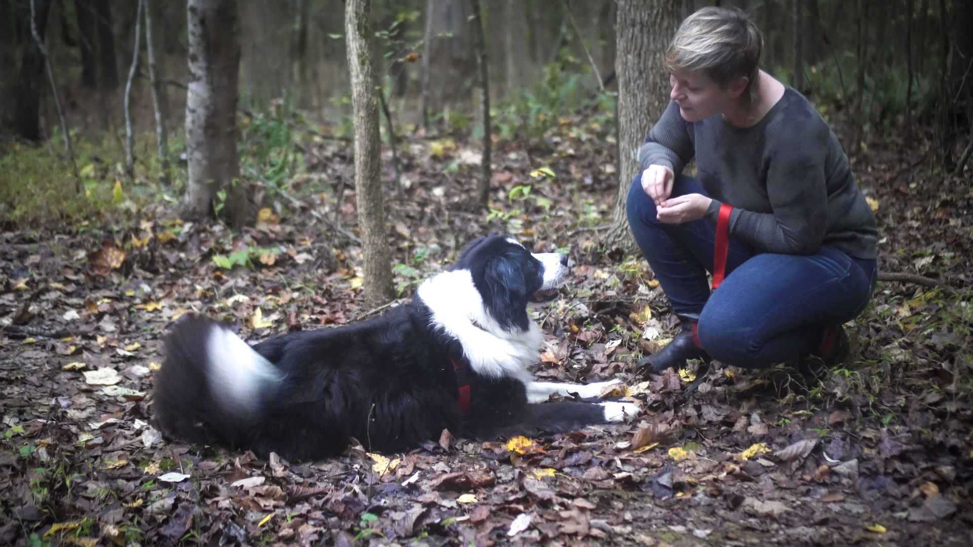 Human sales dog training