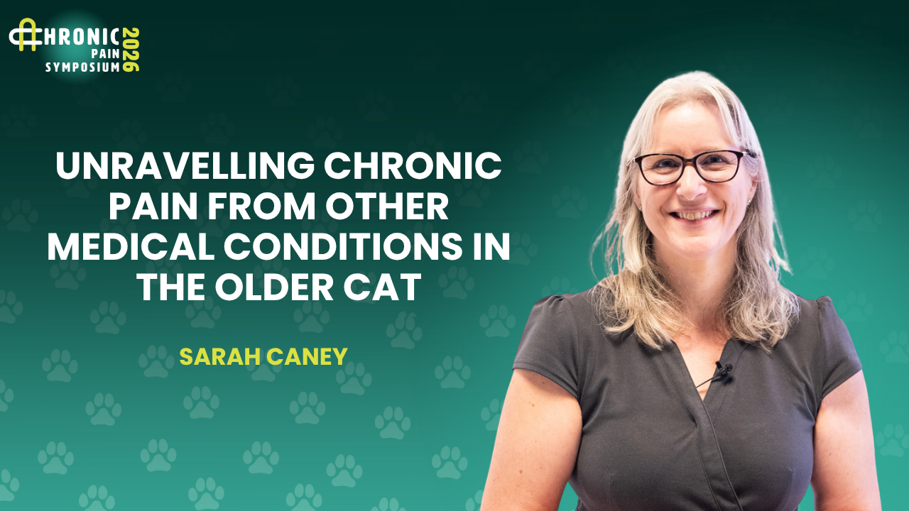 Unravelling Chronic Pain from Other Medical Conditions in the Older Cat