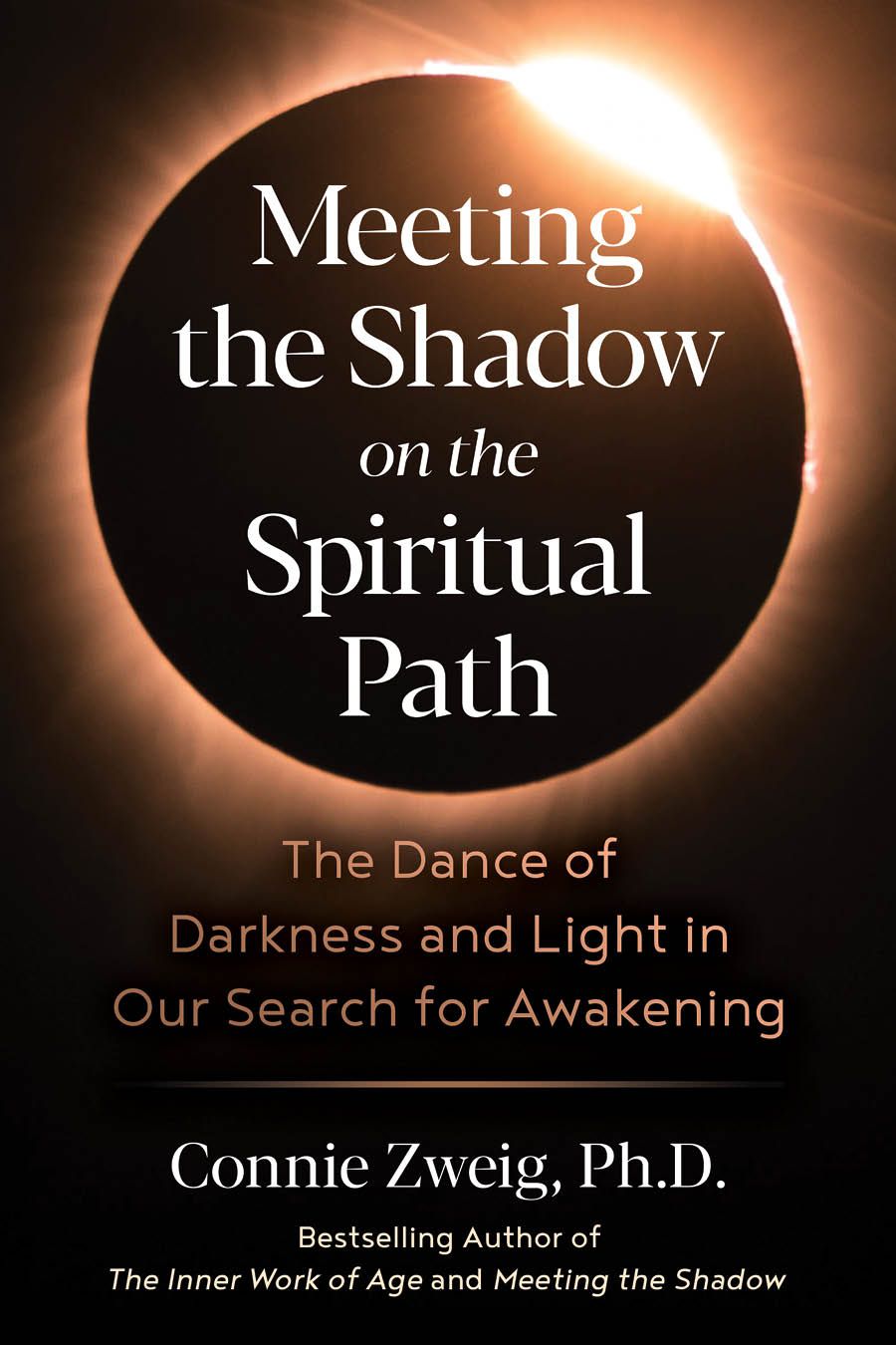 Meeting the Shadow on the Spiritual Path, Book cover