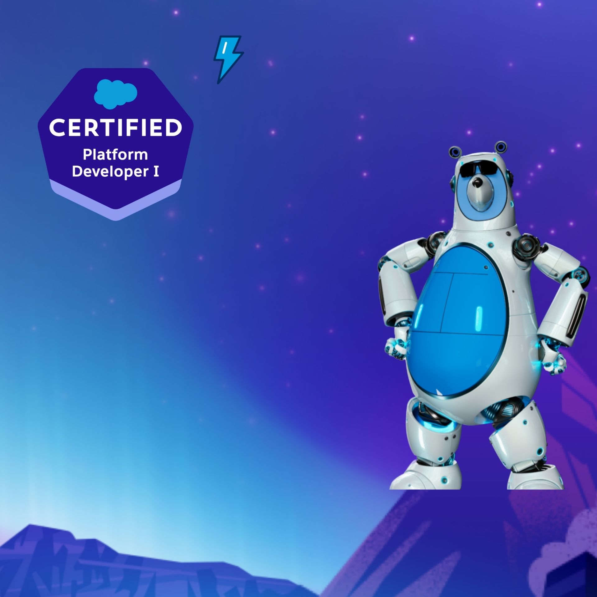 Salesforce Pro-Code Developer