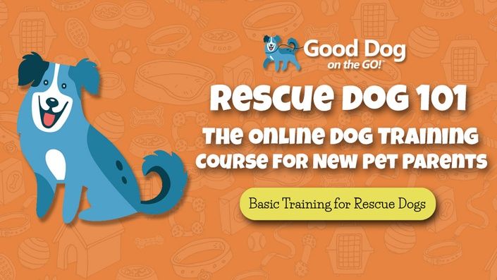 Reward For Rescue Rescue Dog 101 Reward Based Dog Training for Adopted Dogs & Puppies