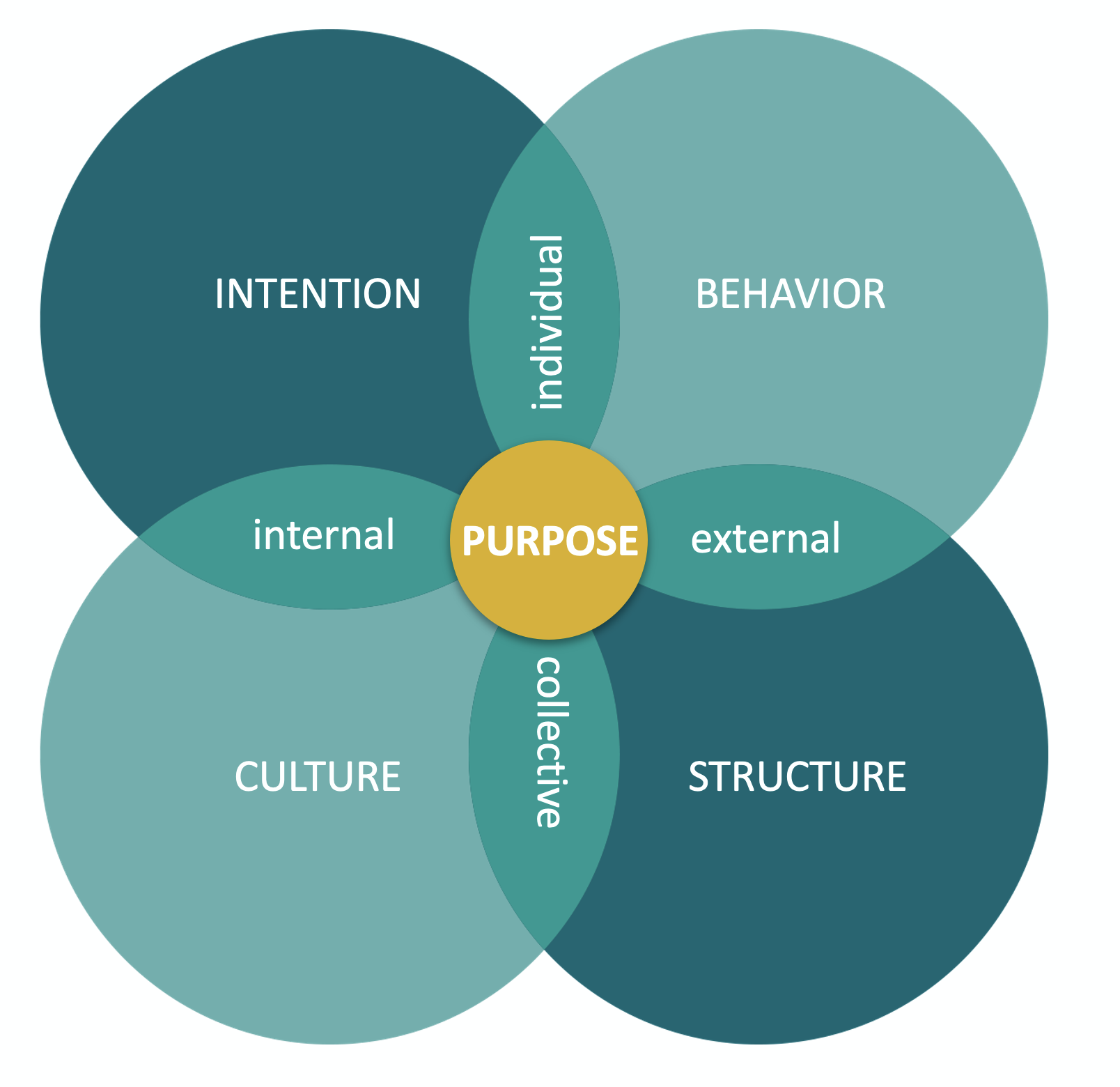 Valuematch academy spiral dynamics trainings