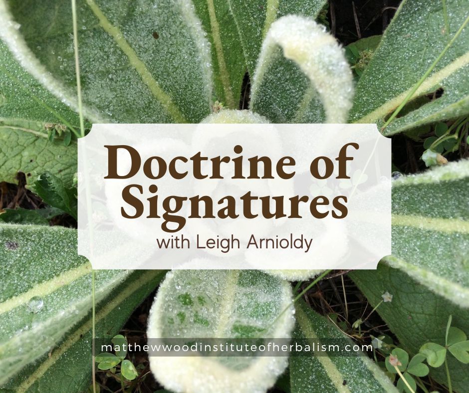 doctrine of signatures color and value