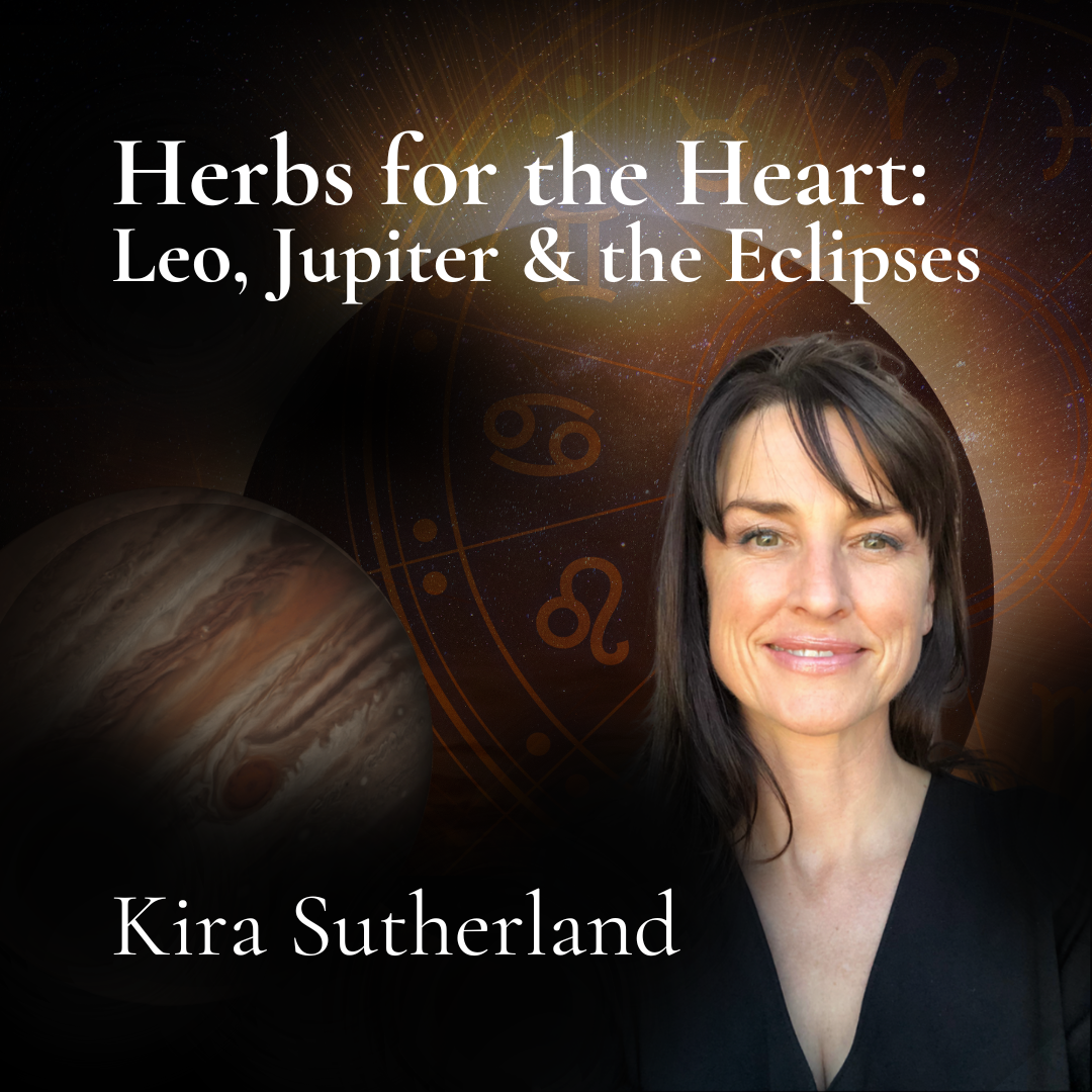 Herbs for the Heart: Leo, Jupiter and the Eclipses — A Health Astrology Class with Kira Sutherland