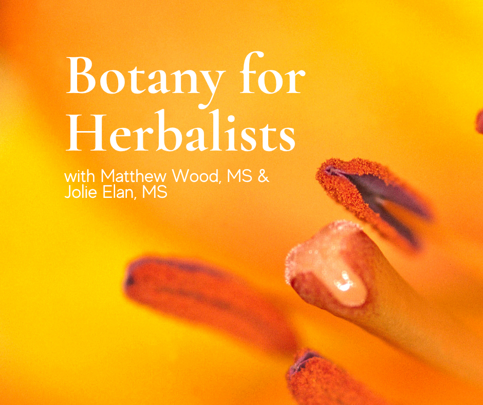 botany for herbalists