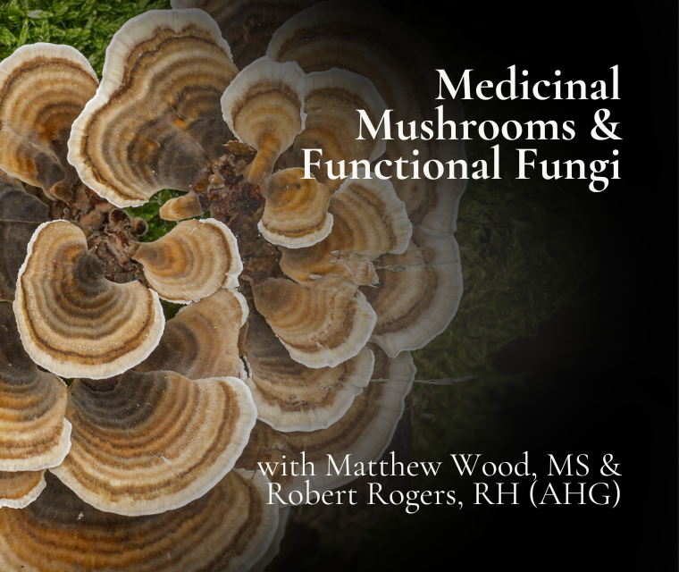 Beginner Family Herbal: Home Remedies