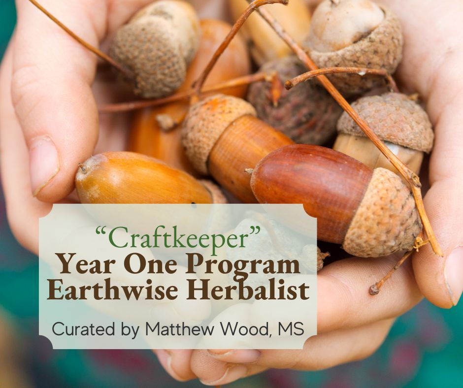 matthew wood year one herbalism certificate program