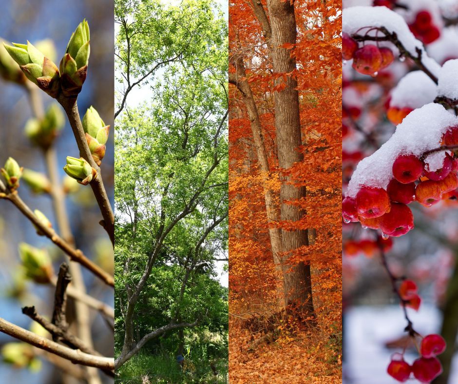 Benefits of Moving Your Body