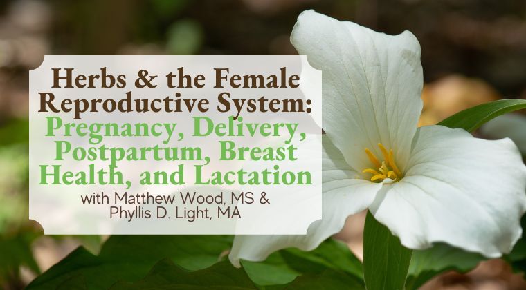 Herbs for Pregnancy & Childbirth, Postpartum & Breast Health