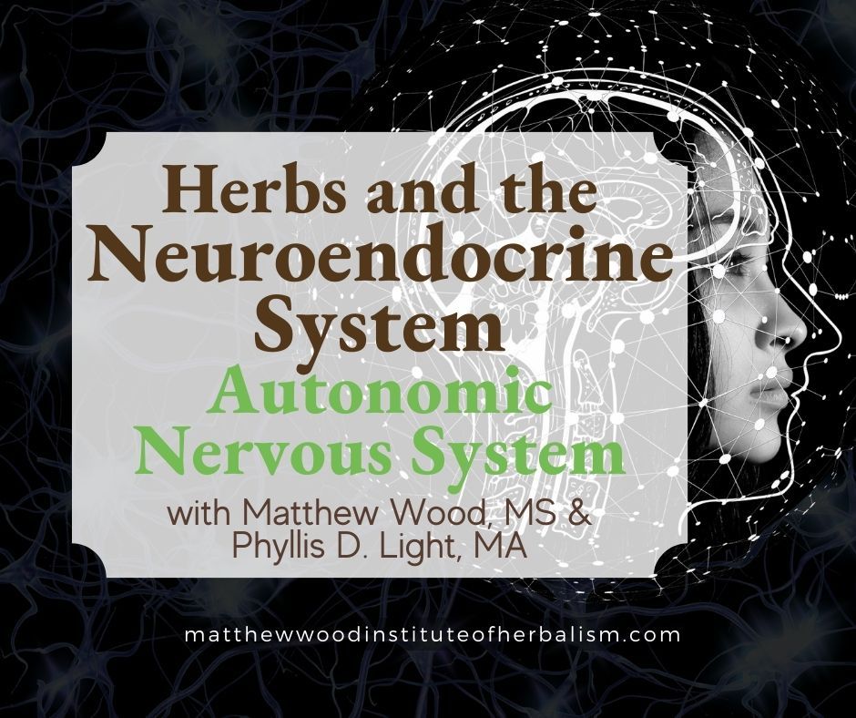 Nervine Herbs to Support the Autonomic Nervous System
