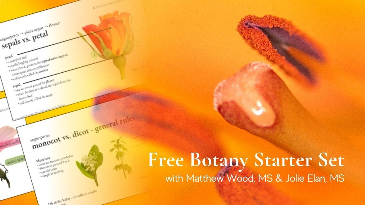 free botany starter set